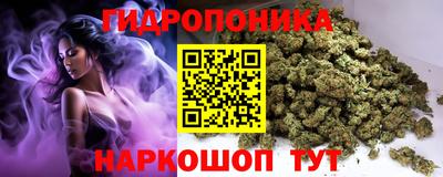 эйфоретик Будённовск