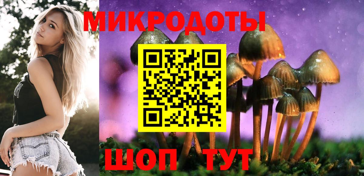 Махачкала  Галлюциногенные грибы мухоморы  Вход с VPN 